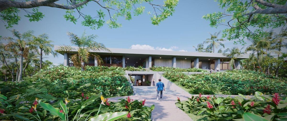 Foto de terreno habitacional en venta en  , yaxkukul, yaxkukul, yucatán, 27635521 No. 03