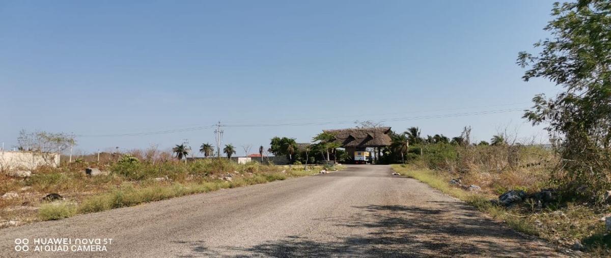 Foto de terreno habitacional en , yaxkukul, yaxkukul, yucatán, 27667870 foto 02 Foto de terreno habitacional en venta en , yaxkukul, yaxkukul, yucatán, 27667870 No. 02
