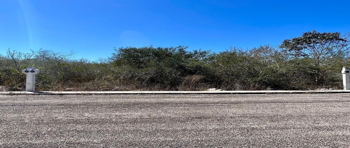 Foto de terreno habitacional en , yaxkukul, yaxkukul, yucatán, 27722901 foto 02 Foto de terreno habitacional en venta en , yaxkukul, yaxkukul, yucatán, 27722901 No. 02