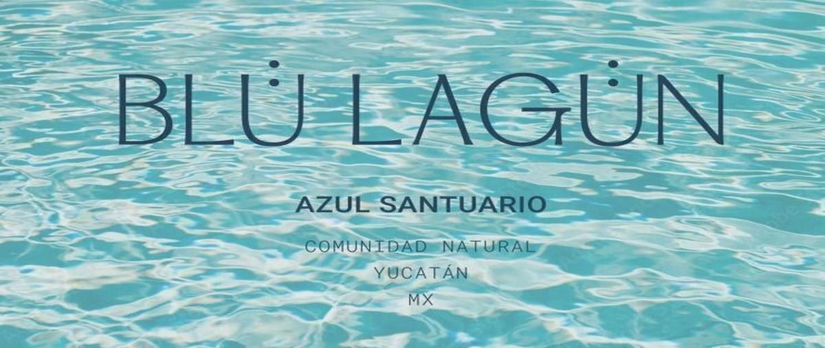 Foto de terreno habitacional en , yaxkukul, yaxkukul, yucatán, 28294656 foto 01 Foto de terreno habitacional en venta en , yaxkukul, yaxkukul, yucatán, 28294656 No. 01