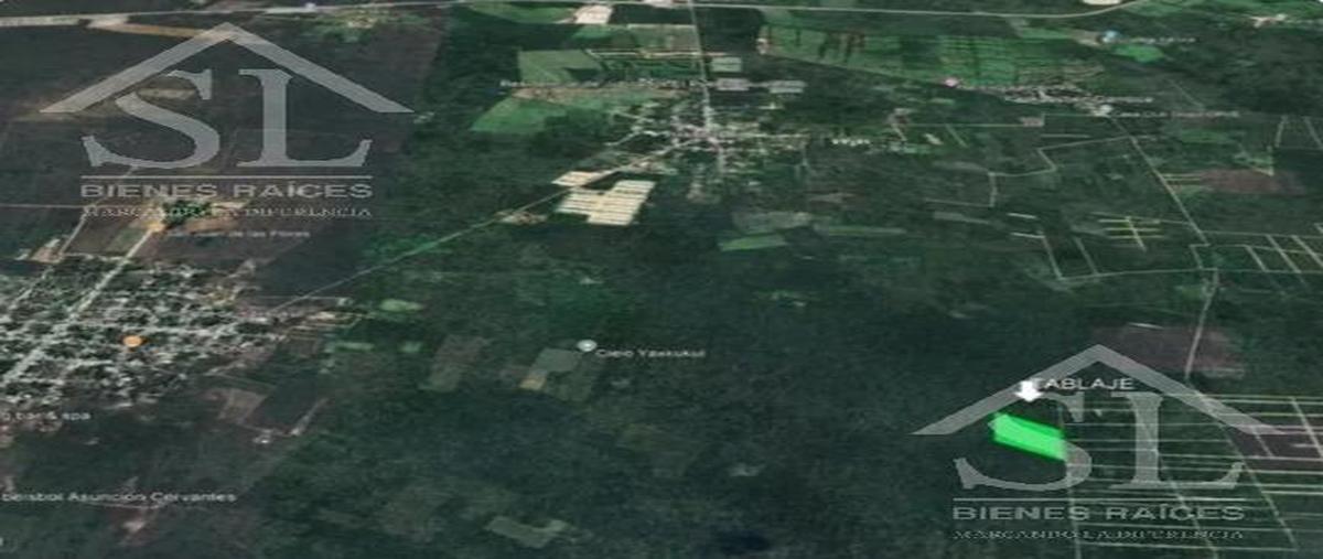 Foto de terreno habitacional en venta en  , yaxkukul, yaxkukul, yucatán, 0 No. 04
