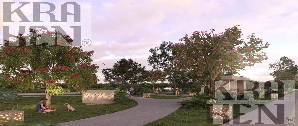 Foto de terreno habitacional en venta en  , yaxkukul, yaxkukul, yucatán, 29982193 No. 03