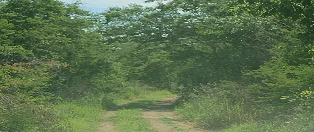 Foto de terreno habitacional en venta en  , yaxkukul, yaxkukul, yucatán, 30257467 No. 04