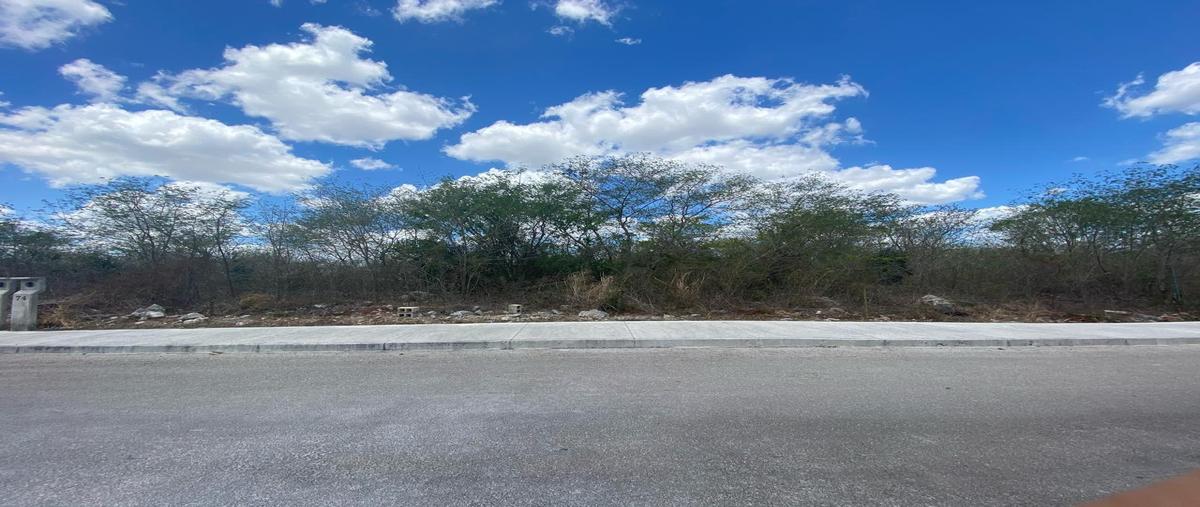 Foto de terreno habitacional en venta en  , yaxkukul, yaxkukul, yucatán, 0 No. 03