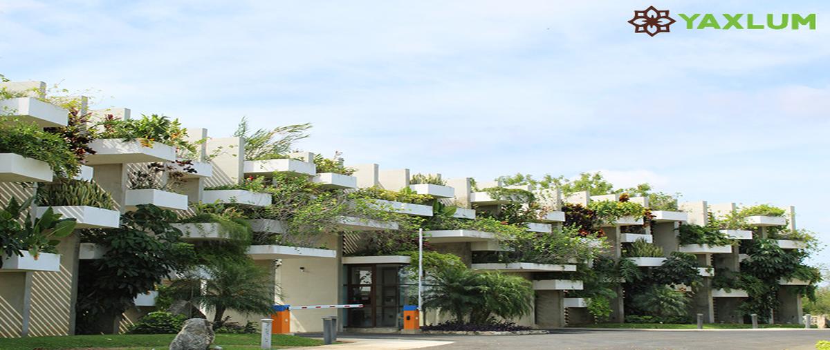 Foto de terreno habitacional en venta en  , yaxkukul, yaxkukul, yucatán, 0 No. 04