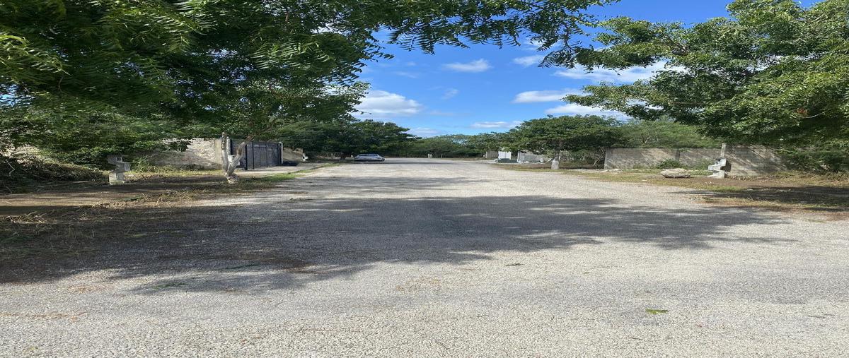 Foto de terreno habitacional en venta en  , yaxkukul, yaxkukul, yucatán, 0 No. 03