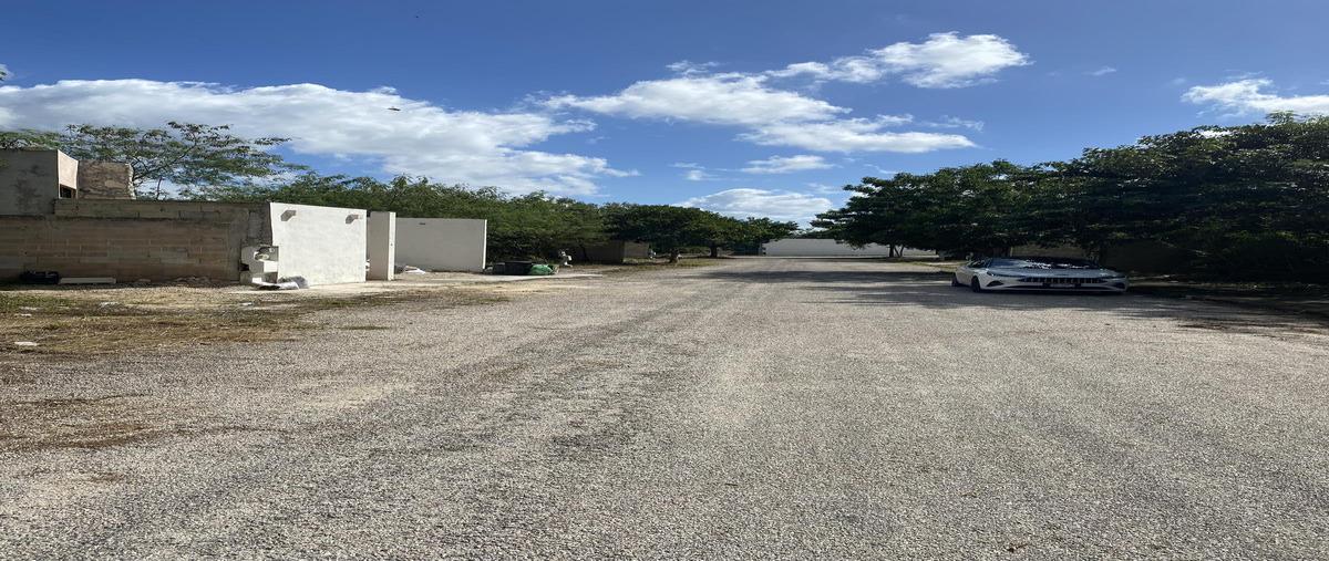Foto de terreno habitacional en venta en  , yaxkukul, yaxkukul, yucatán, 0 No. 04