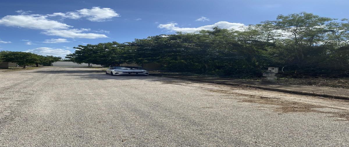 Foto de terreno habitacional en venta en  , yaxkukul, yaxkukul, yucatán, 0 No. 05