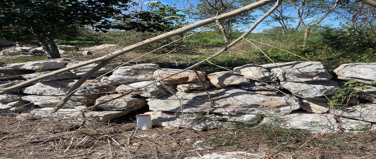 Foto de terreno habitacional en venta en  , yaxkukul, yaxkukul, yucatán, 0 No. 04