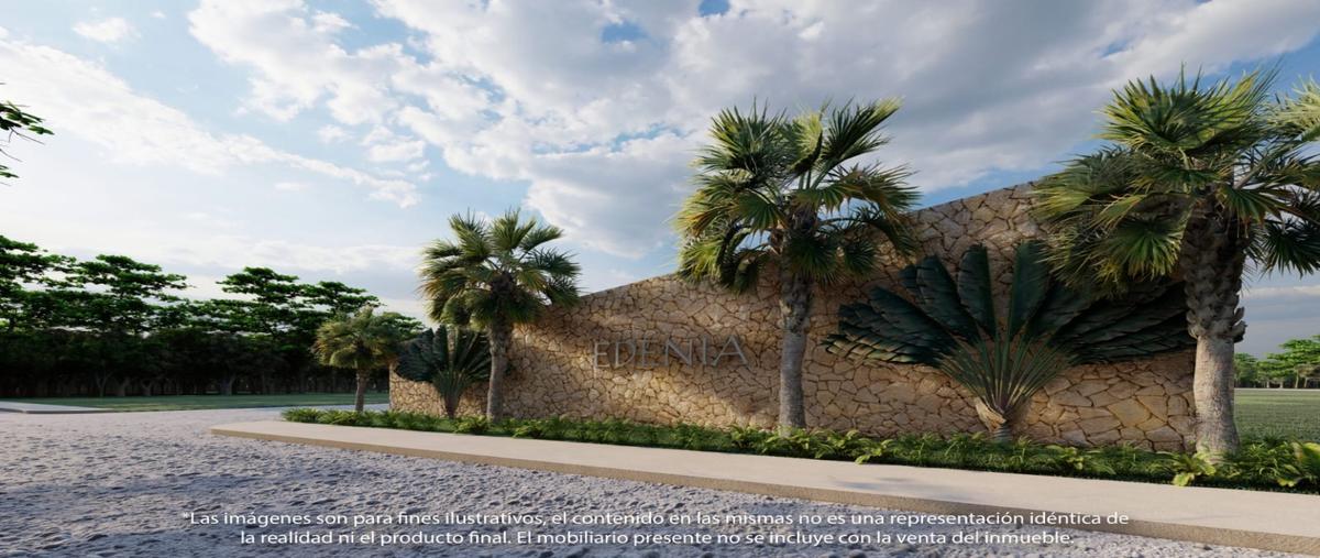 Foto de terreno habitacional en venta en  , yaxkukul, yaxkukul, yucatán, 0 No. 03