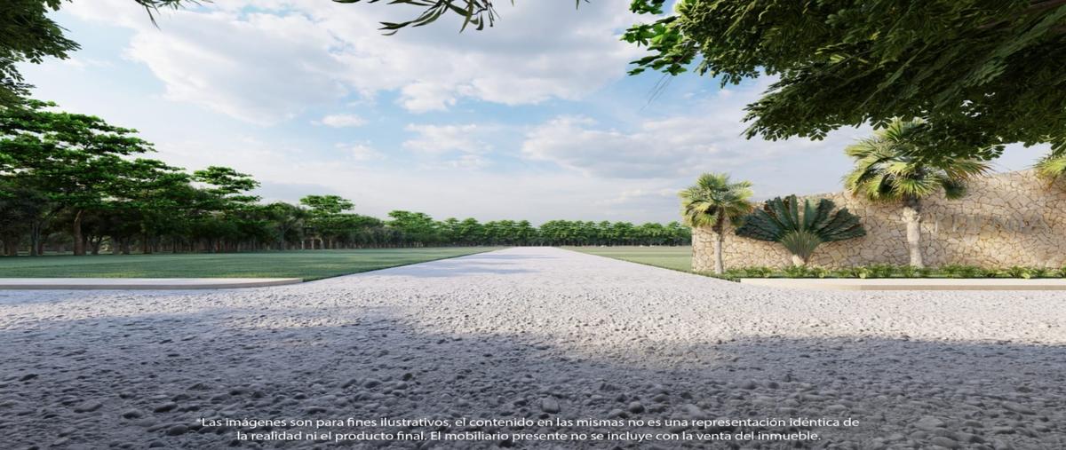 Foto de terreno habitacional en venta en  , yaxkukul, yaxkukul, yucatán, 0 No. 05