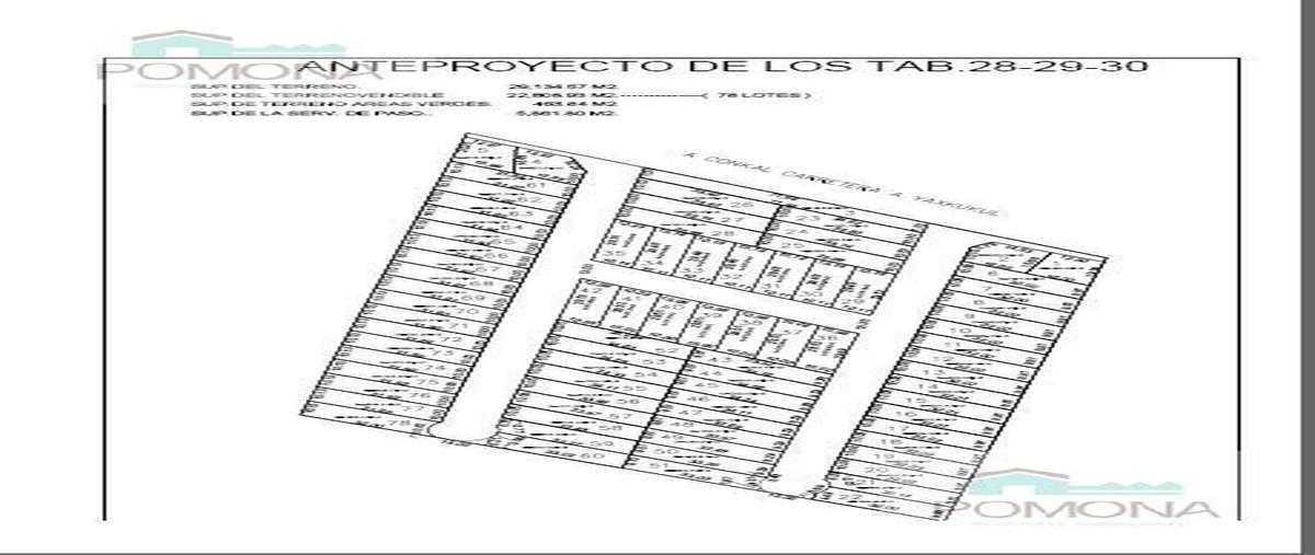 Foto de terreno habitacional en venta en  , yaxkukul, yaxkukul, yucatán, 7630213 No. 05