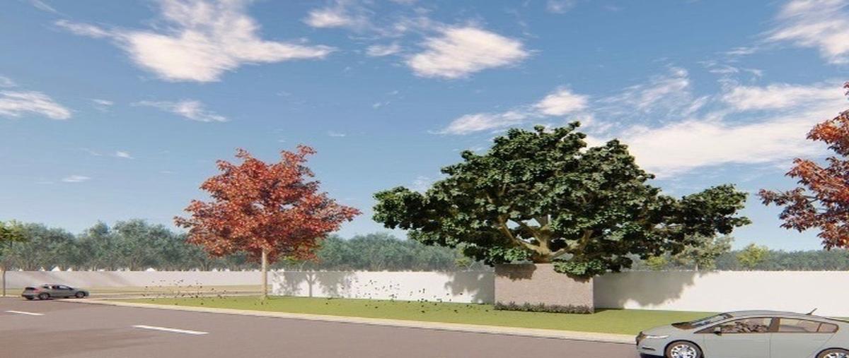 Foto de terreno habitacional en venta en yaxkukul, yaxkukul, yucatán , yaxkukul, yaxkukul, yucatán, 0 No. 03
