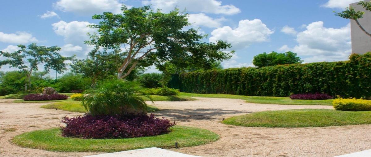 Foto de terreno habitacional en venta en yaxlum , conkal, conkal, yucatán, 0 No. 04