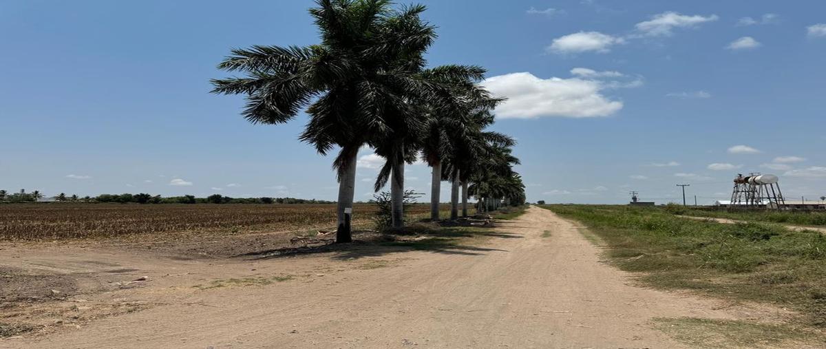 Foto de terreno habitacional en venta en yebabito , laguna de san pedro, navolato, sinaloa, 0 No. 03