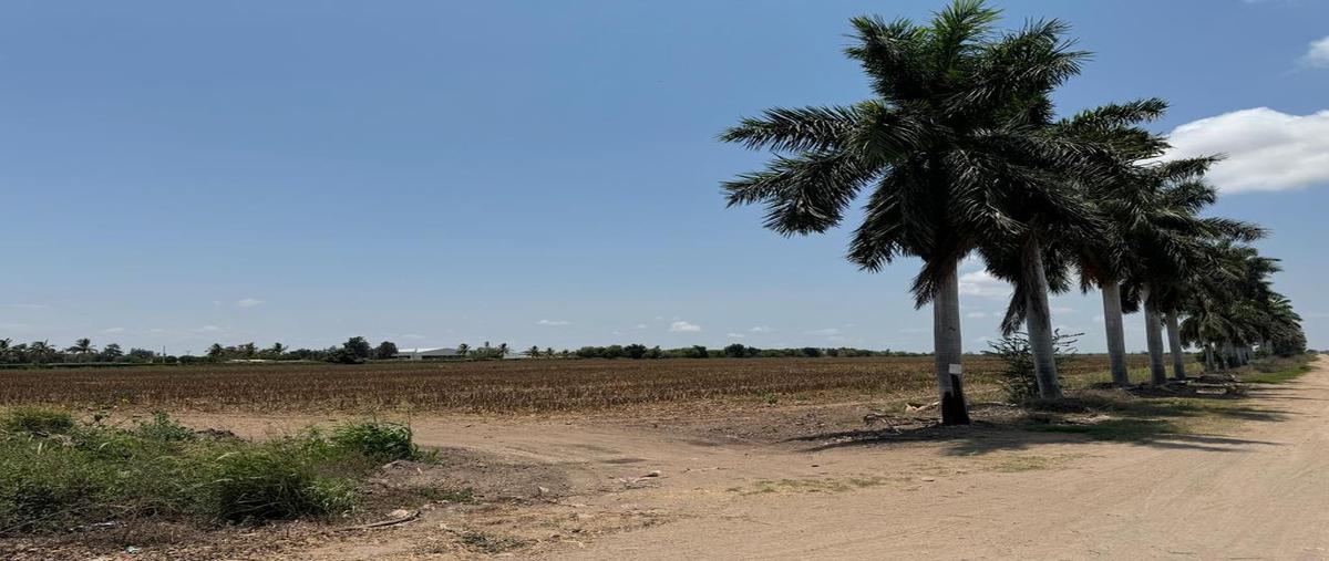 Foto de terreno habitacional en venta en yebabito , laguna de san pedro, navolato, sinaloa, 0 No. 04