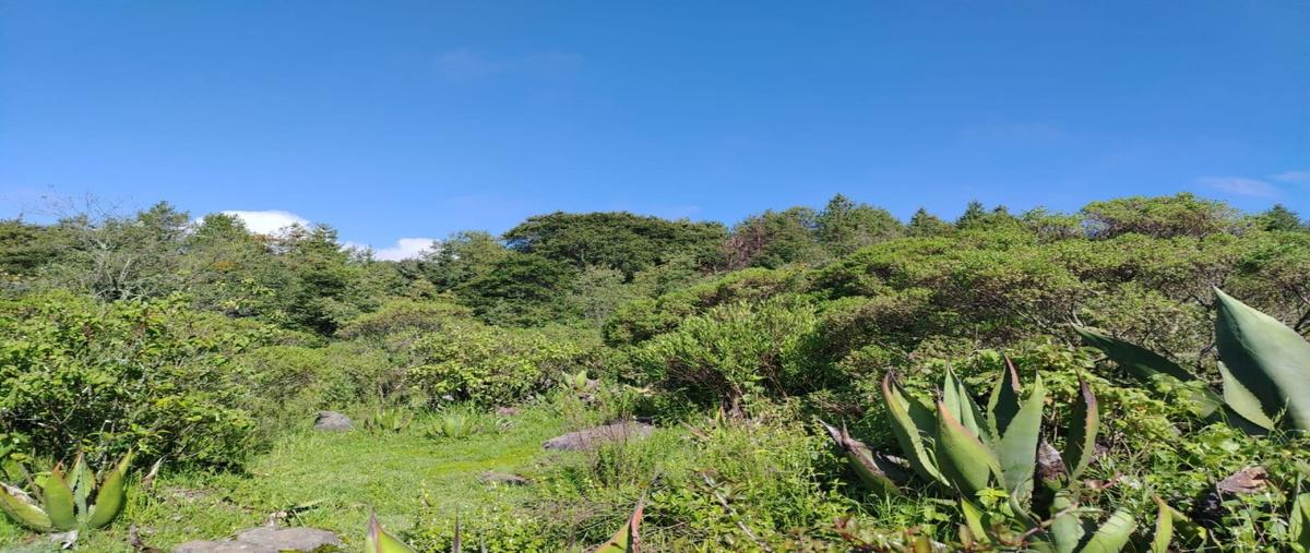 Foto de terreno habitacional en venta en  , yebuciví centro (yebuciví), almoloya de juárez, méxico, 0 No. 04