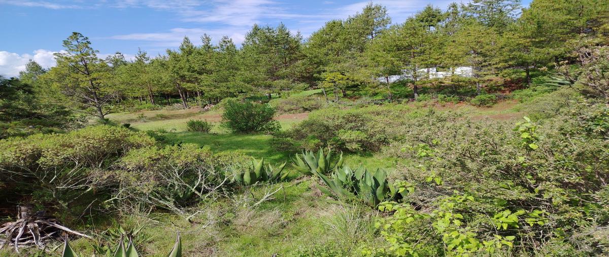 Foto de terreno habitacional en venta en  , yebuciví centro (yebuciví), almoloya de juárez, méxico, 0 No. 05