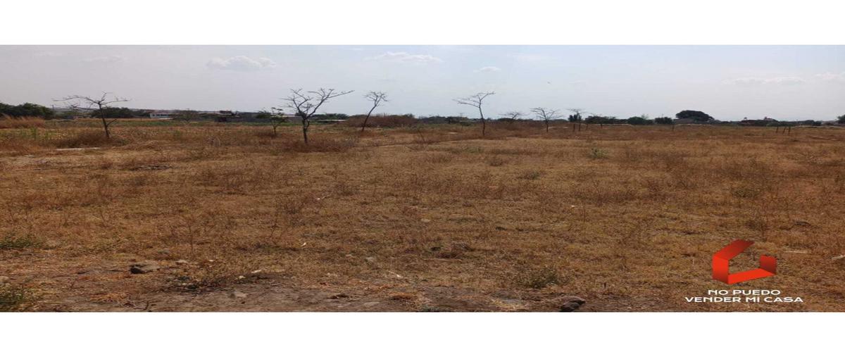Foto de terreno habitacional en venta en  , yecapixtla, yecapixtla, morelos, 26678073 No. 04