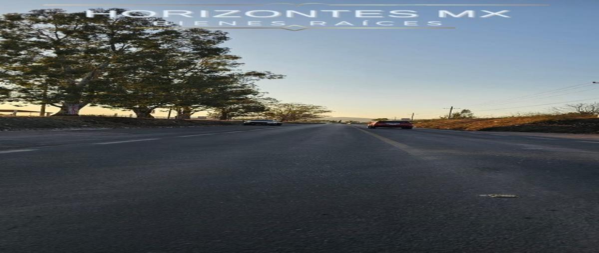 Foto de terreno habitacional en venta en  , yerbabuena, guanajuato, guanajuato, 27877209 No. 05