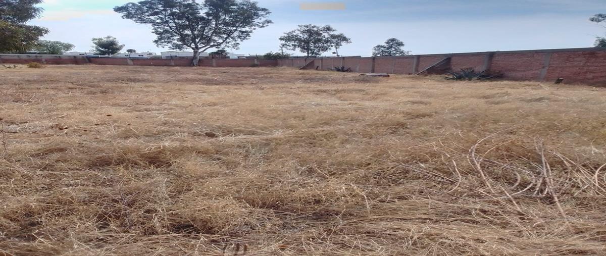 Foto de terreno habitacional en venta en  , yerbabuena, guanajuato, guanajuato, 0 No. 04