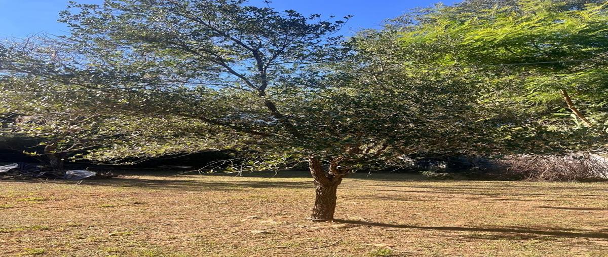 Foto de terreno habitacional en , yerbaniz, santiago, nuevo león, 0 foto 01 Foto de terreno habitacional en venta en , yerbaniz, santiago, nuevo león, 0 No. 01
