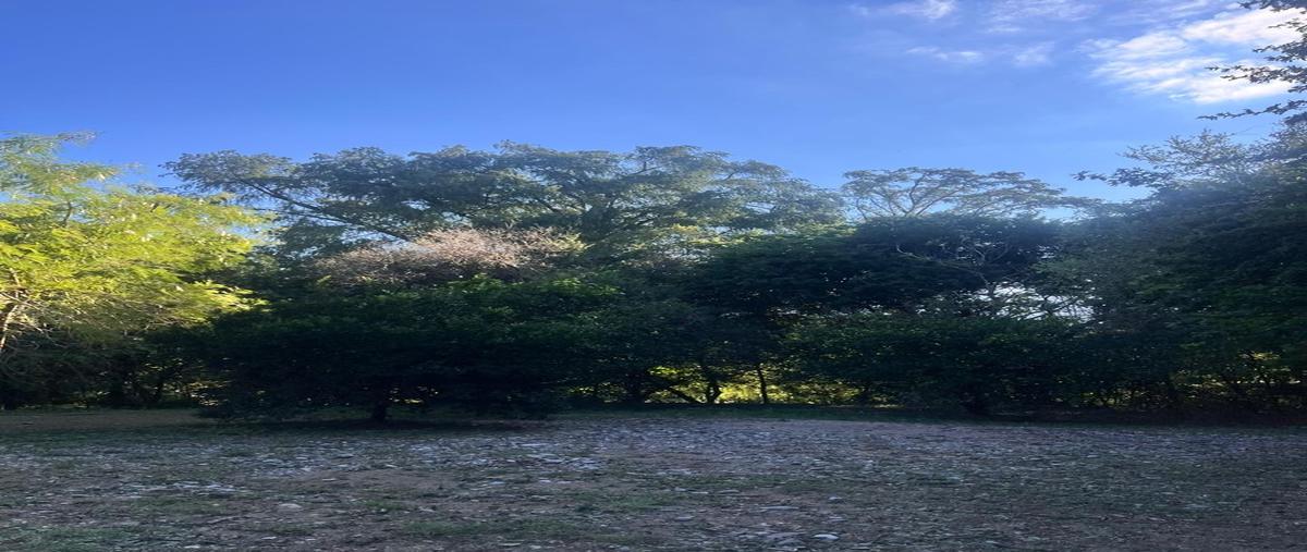 Foto de terreno habitacional en , yerbaniz, santiago, nuevo león, 0 foto 03 Foto de terreno habitacional en venta en , yerbaniz, santiago, nuevo león, 0 No. 03