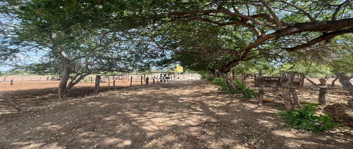 Foto de terreno comercial en yevabito , laguna de san pedro, navolato, sinaloa, 0 foto 03 Foto de terreno comercial en venta en yevabito , laguna de san pedro, navolato, sinaloa, 0 No. 03