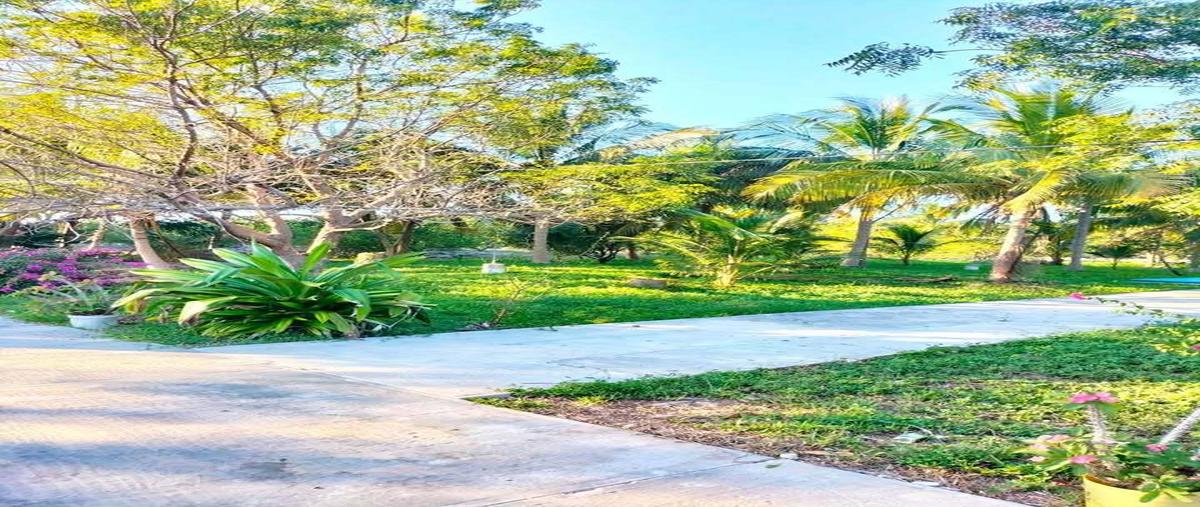 Foto de rancho en venta en yobaín - chabihau , yobain, yobaín, yucatán, 0 No. 04
