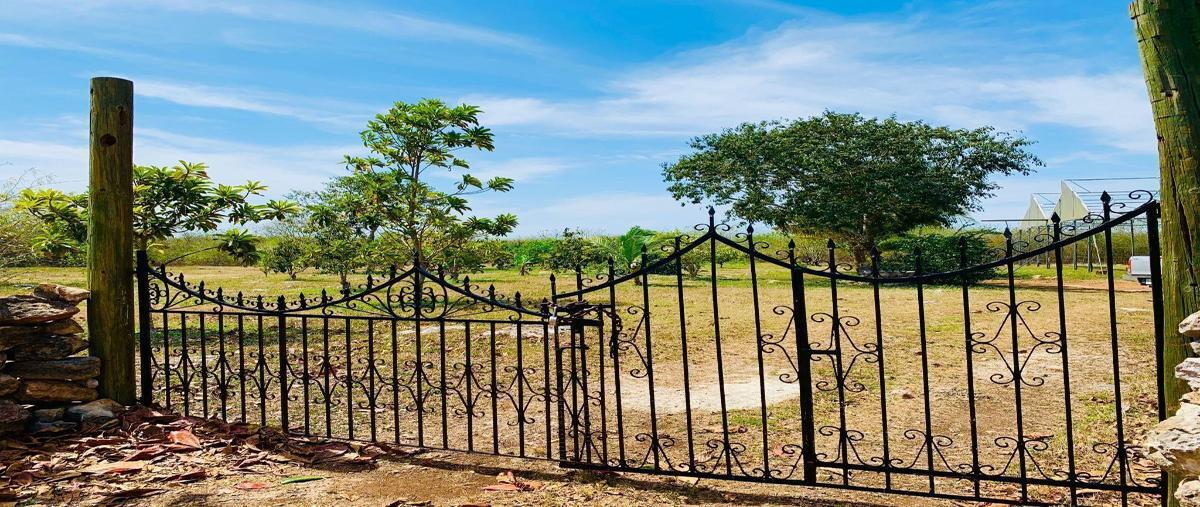 Foto de terreno habitacional en , yobain, yobaín, yucatán, 27686477 foto 05 Foto de terreno habitacional en venta en , yobain, yobaín, yucatán, 27686477 No. 05