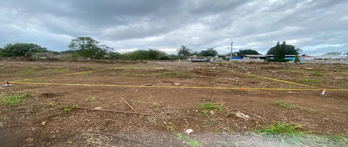 Foto de terreno habitacional en venta en  , yobain, yobaín, yucatán, 0 No. 03