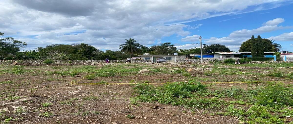 Foto de terreno habitacional en venta en  , yobain, yobaín, yucatán, 0 No. 05