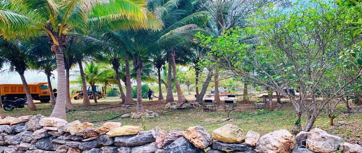 Foto de rancho en , yobain, yobaín, yucatán, 0 foto 02 Foto de rancho en venta en , yobain, yobaín, yucatán, 0 No. 02