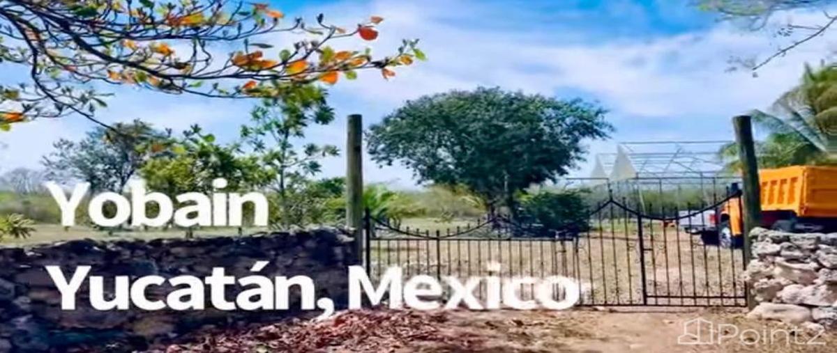 Foto de rancho en , yobain, yobaín, yucatán, 0 foto 03 Foto de rancho en venta en , yobain, yobaín, yucatán, 0 No. 03