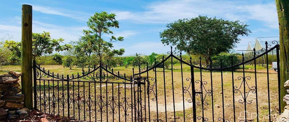 Foto de rancho en , yobain, yobaín, yucatán, 0 foto 04 Foto de rancho en venta en , yobain, yobaín, yucatán, 0 No. 04