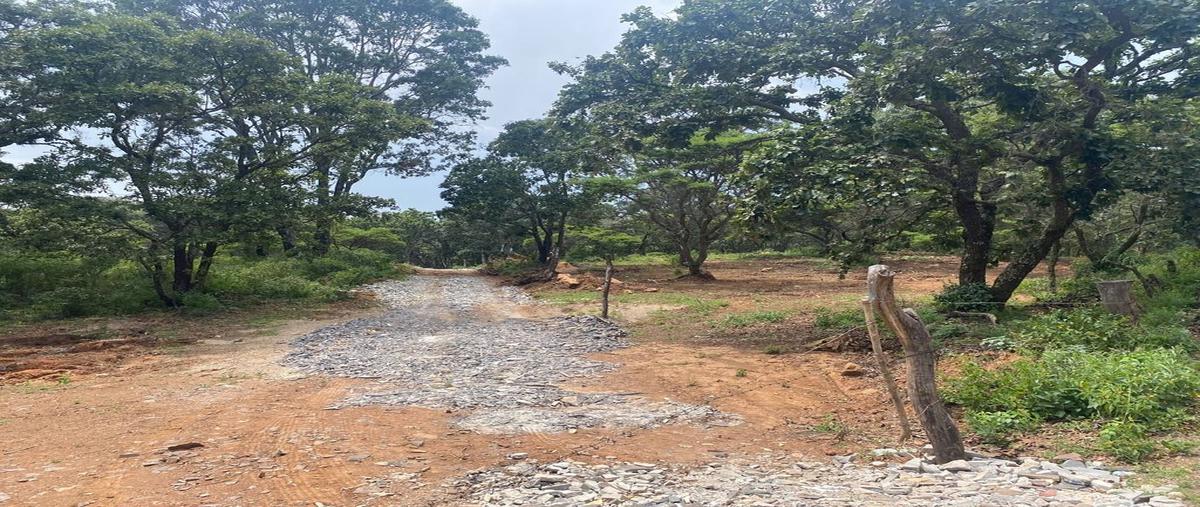 Foto de terreno habitacional en venta en yolosta atemajac de brizuela en el cristiano el cristiano , atemajac de brizuela, atemajac de brizuela, jalisco, 27150400 No. 03