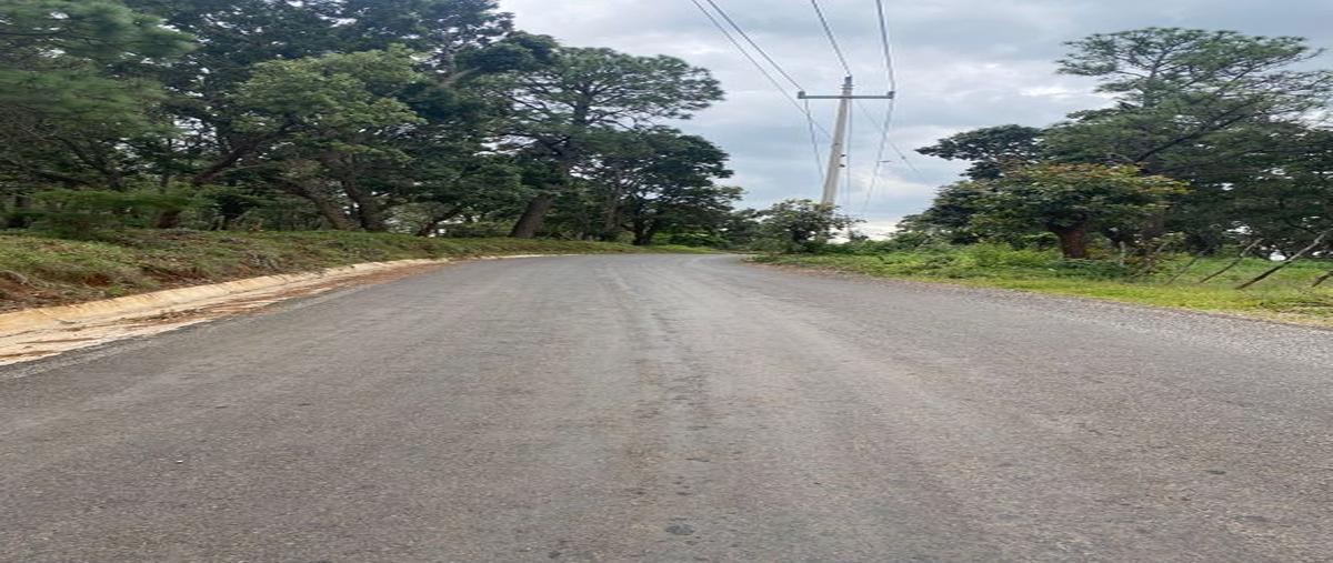 Foto de terreno habitacional en venta en yolosta atemajac de brizuela en el cristiano el cristiano , atemajac de brizuela, atemajac de brizuela, jalisco, 27150400 No. 04