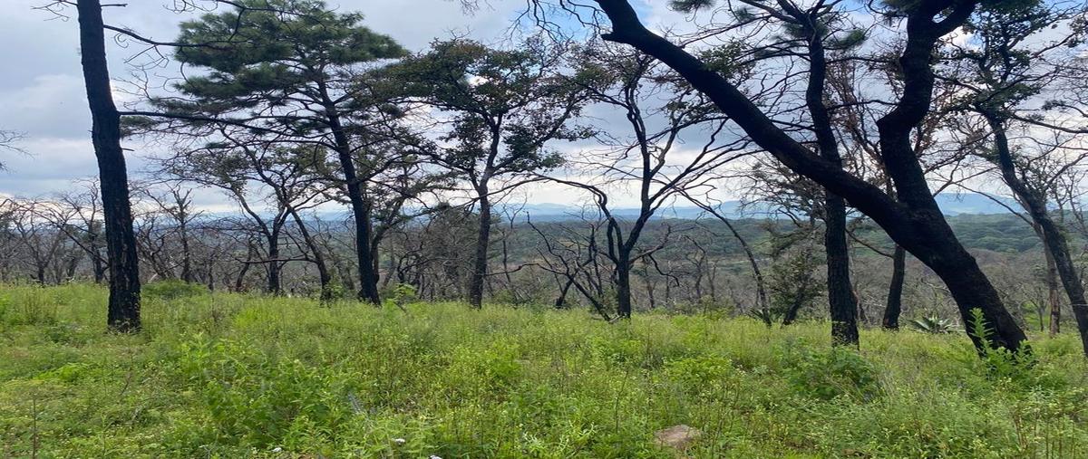 Foto de terreno habitacional en venta en yolosta atemajac de brizuela en el cristiano el cristiano , atemajac de brizuela, atemajac de brizuela, jalisco, 27150400 No. 05