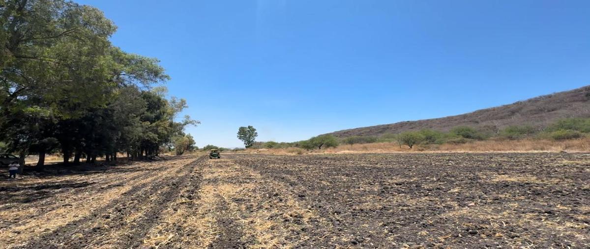Foto de terreno habitacional en venta en  , yóstiro (yóstiro de san antonio), pueblo nuevo, guanajuato, 29873204 No. 03