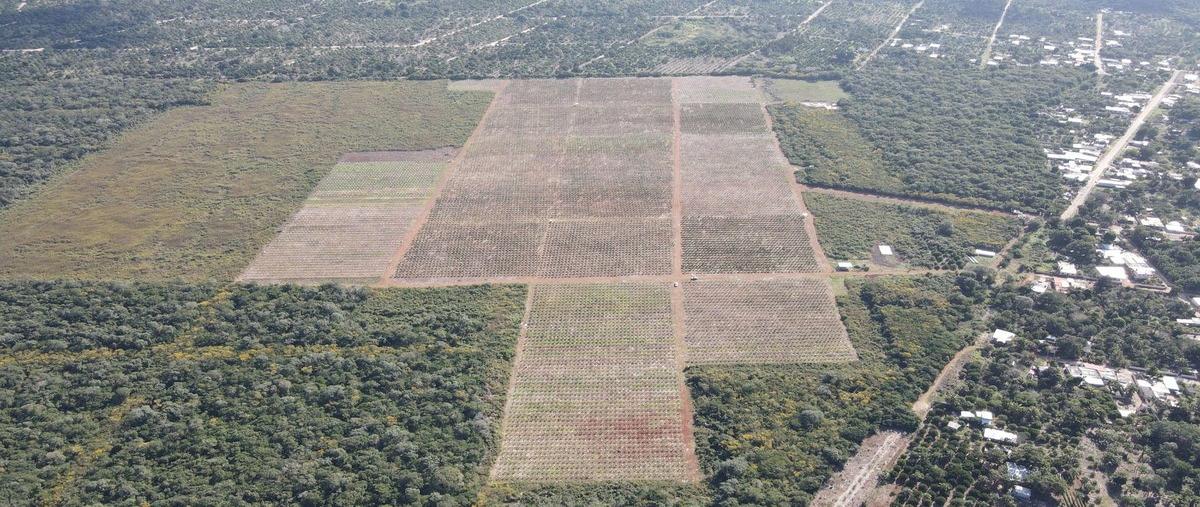 Foto de terreno habitacional en venta en  , yotholin, ticul, yucatán, 0 No. 04