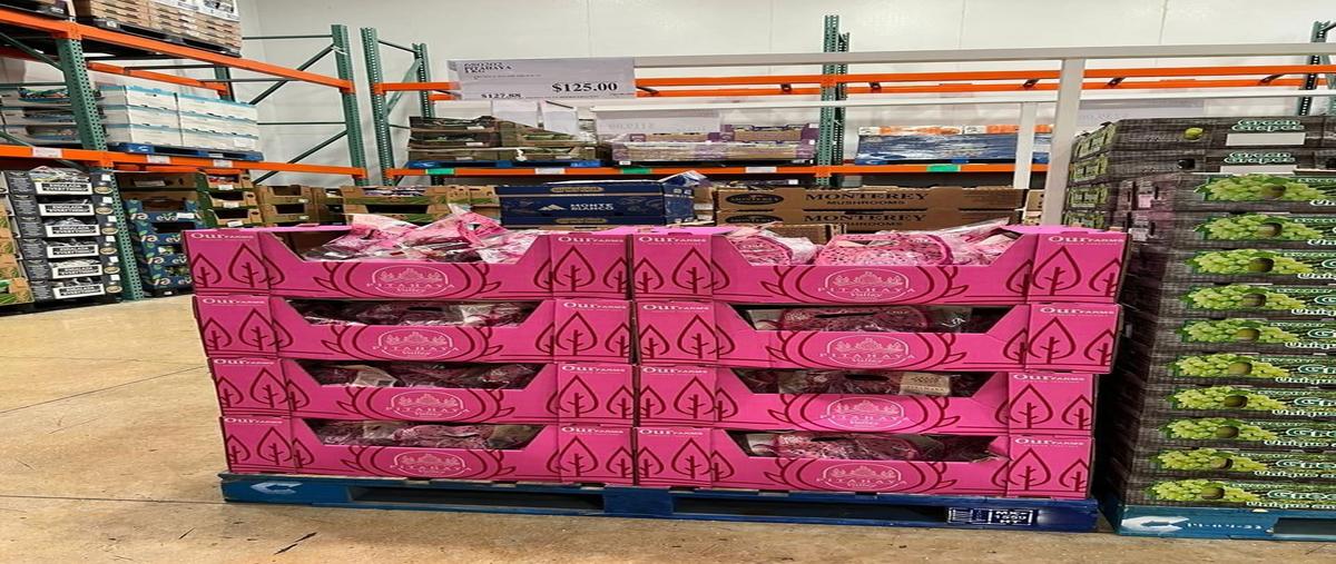 Foto de terreno habitacional en venta en  , yotholin, ticul, yucatán, 0 No. 05