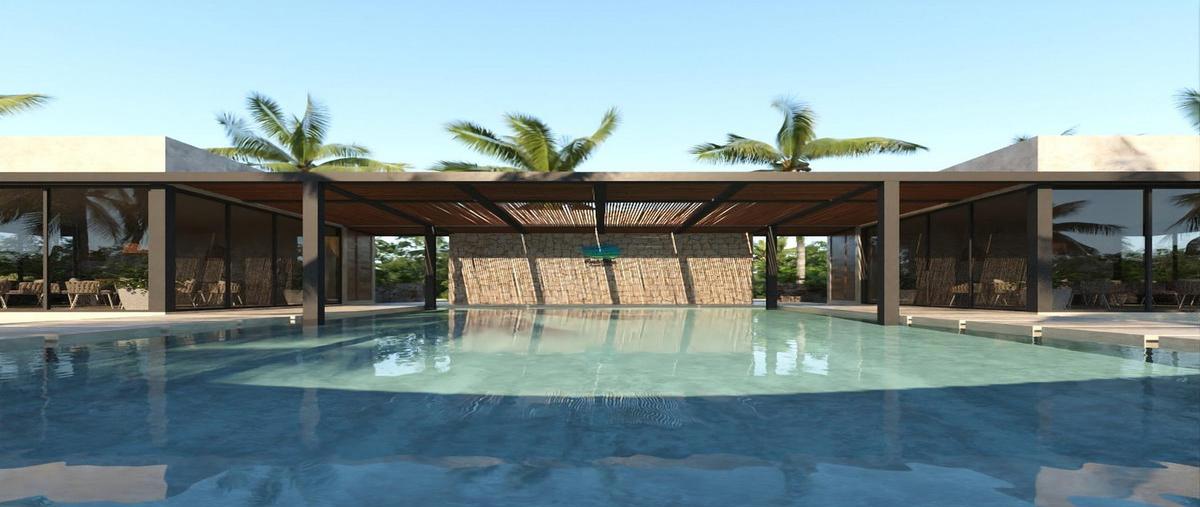 Foto de terreno habitacional en venta en  , yucalpeten, progreso, yucatán, 0 No. 05