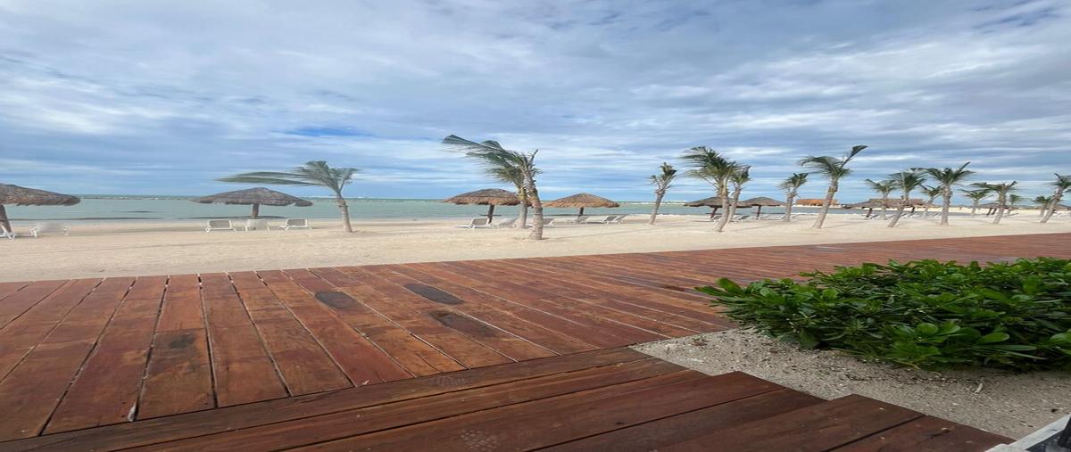 Foto de rancho en . , yucalpeten, progreso, yucatán, 30434573 foto 04 Foto de rancho en venta en . , yucalpeten, progreso, yucatán, 30434573 No. 04