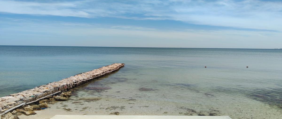 Foto de casa en venta en  , yucalpeten, progreso, yucatán, 0 No. 04