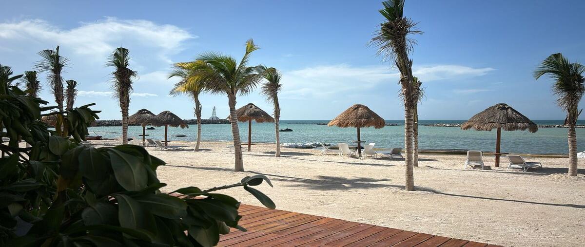 Foto de rancho en venta en yucalpeten , yucalpeten, progreso, yucatán, 30397992 No. 05