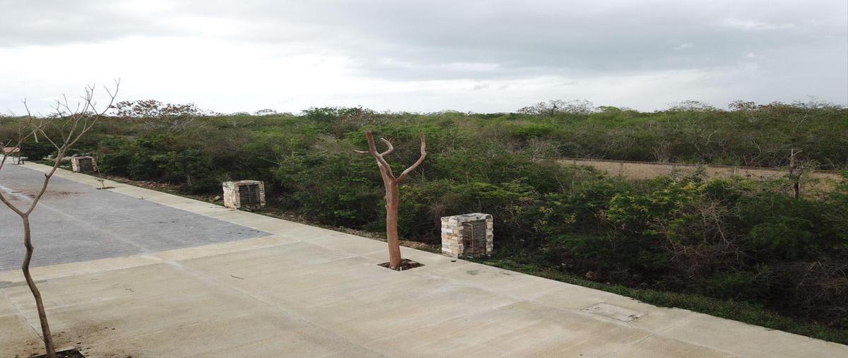 Foto de terreno habitacional en venta en  , yucatán country club, mérida, yucatán, 25267662 No. 03