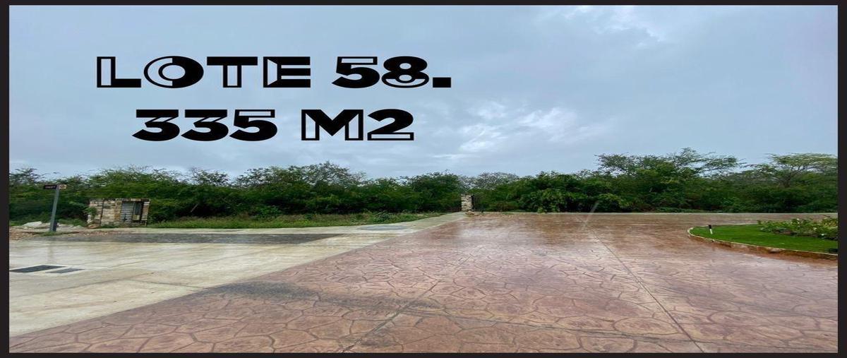 Foto de terreno habitacional en venta en  , yucatán country club, mérida, yucatán, 25267664 No. 05