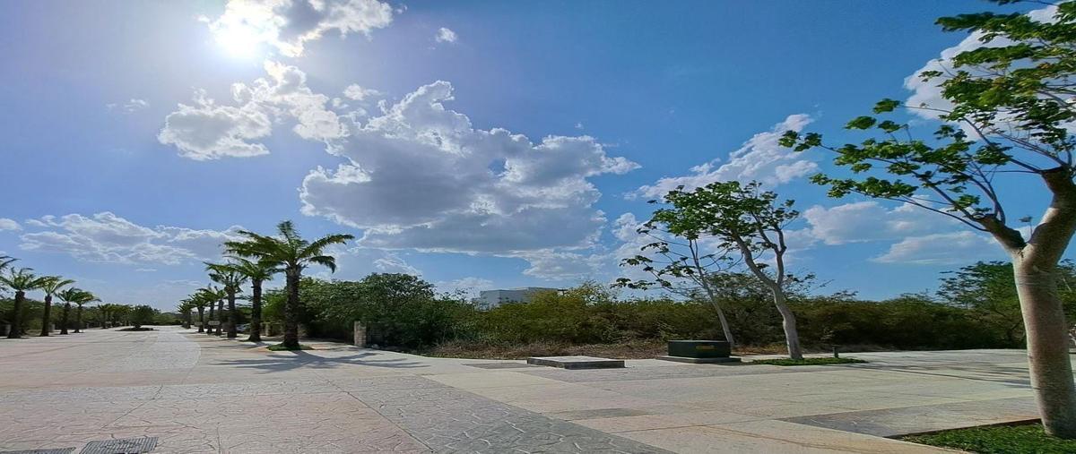 Foto de terreno habitacional en , yucatán country club, mérida, yucatán, 26450874 foto 03 Foto de terreno habitacional en venta en , yucatán country club, mérida, yucatán, 26450874 No. 03
