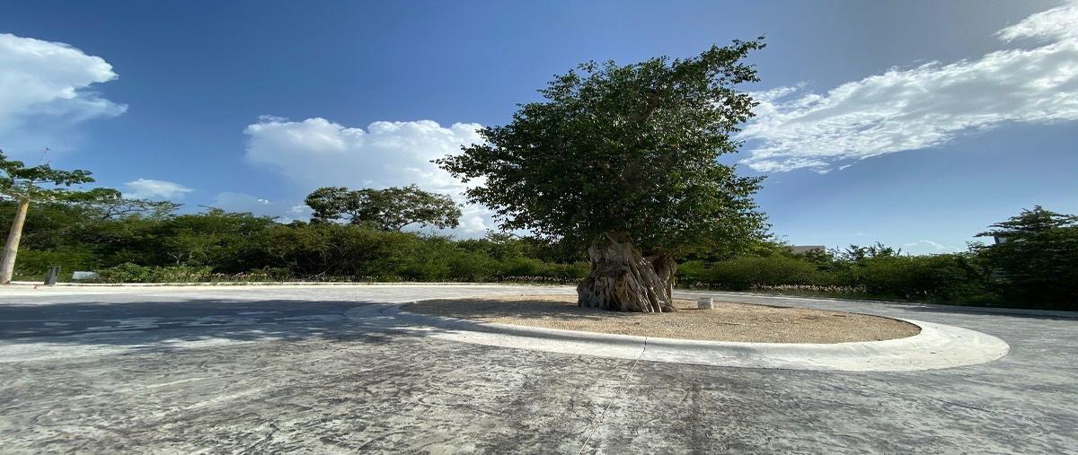 Foto de terreno habitacional en venta en  , yucatán country club, mérida, yucatán, 26880346 No. 03