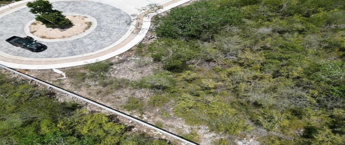 Foto de terreno habitacional en venta en  , yucatán country club, mérida, yucatán, 27386800 No. 03